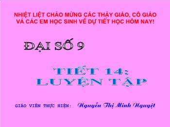 Bài giảng Đại số 9 - Tiết 14: Luyện tập - Nguyễn Thị Minh Nguyệt
