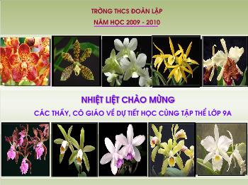 Bài giảng Hình học 6 - Tiết 8 - Bài học 7: Độ dài đoạn thẳng