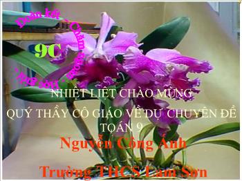 Bài giảng môn học Đại số 9 - Ôn tập chương III - Trường THCS Lam Sơn
