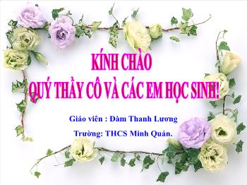 Bài giảng môn học Đại số khối 9 - Tiết 52: Luyện tập - Trường THCS Minh Quán