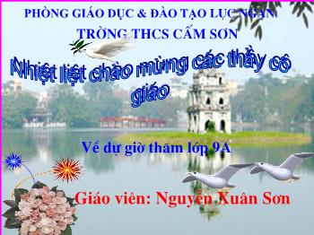 Bài giảng môn học Đại số lớp 9 - Tiết 21: Hàm số bậc nhất - Nguyễn Xuân Sơn