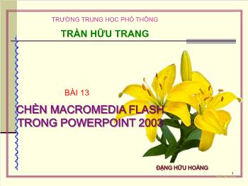 Bài giảng Tin học - Bài 13: Chèn macromedia flash trong powerpoint 2003