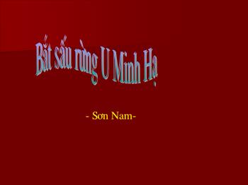 Bài giảng Ngữ văn 12 - Bắt sấu rừng U Minh Hạ, tác giả Sơn Nam