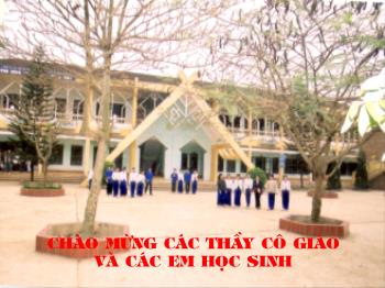 Bài giảng Ngữ văn 12 - Đọc văn: Tây Tiến, Quang Dũng - Nguyễn Thị Thu Tâm