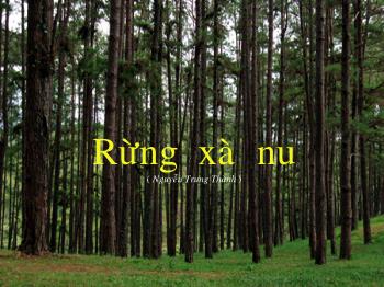 Bài giảng Ngữ văn 12 - Rừng xà nu (Nguyễn Trung Thành)