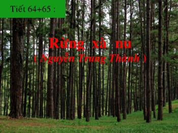 Bài giảng Ngữ văn 12 - Tiết 64 + 65: Rừng xà nu (Nguyễn Trung Thành)