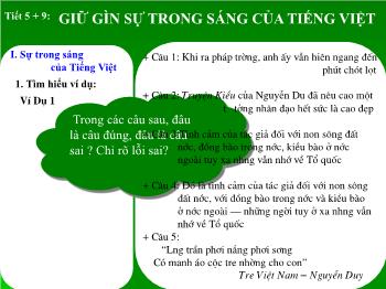 Bài giảng Ngữ văn 12 - Tiết 9: Giữ gìn sự trong sáng của Tiếng Việt