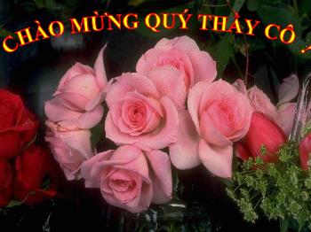 Bài giảng Ngữ văn 12 - Trao duyên, Nguyễn Du