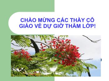 Bài giảng môn Ngữ văn 10 - Tiết số 36: Tiếng Việt: Phong cách ngôn ngữ sinh hoạt