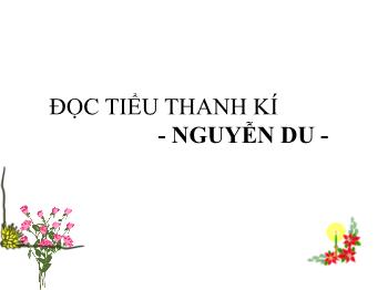 Bài giảng Ngữ văn 10 - Đọc tiểu thanh kí tác giả Nguyễn Du
