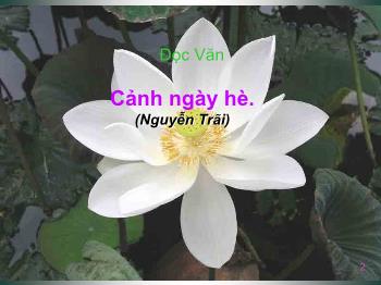 Bài giảng Ngữ văn 10 - Đọc Văn Cảnh ngày hè (Nguyễn Trãi)