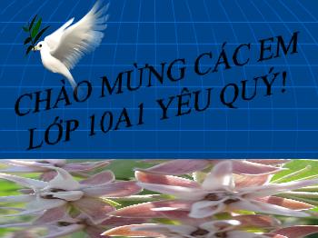 Bài giảng Ngữ văn 10 - Tiết học 75: Những yêu cầu về sử dụng Tiếng Việt