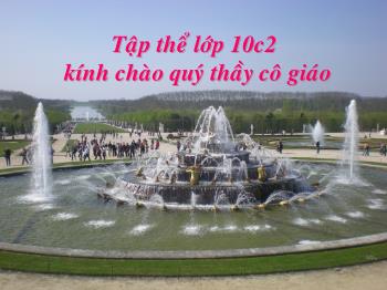 Bài giảng Ngữ văn khối lớp 10 - Tiết học: Những yêu cầu về sử dụng Tiếng Việt