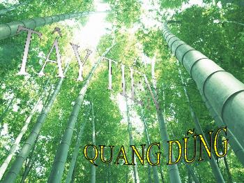 Bài giảng môn học Ngữ văn lớp 12 - Bài thơ: Tây tiến