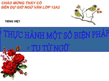 Bài giảng Ngữ văn 12 - Tiếng Việt: Thực hành một số biện pháp tu từ ngữ âm