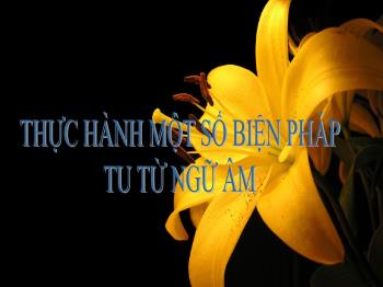 Bài giảng Ngữ văn 12 - Tiết: Thực hành một số biện pháp tu từ ngữ âm