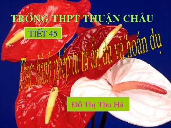 Bài giảng môn Ngữ văn khối 10 - Tiết học 45: Thực hành phép tu từ ẩn dụ và hoán dụ