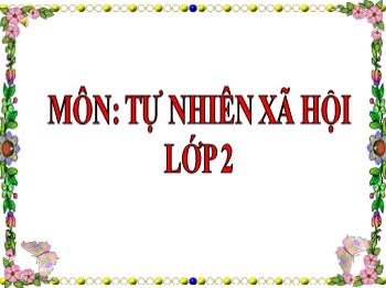 Bài giảng môn Tự nhiên và xã hội Lớp 2 - Tuần 21: Cuộc sống xung quanh (tiết 1)