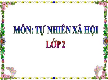 Bài giảng môn Tự nhiên và xã hội Lớp 2 - Tuần 26: Một số loài cây sống dưới nước