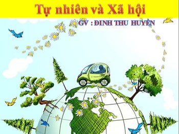 Bài giảng môn Tự nhiên xã hội Lớp 2 - Bài: Giữ sạch môi trường xung quanh nhà ở - Đinh Thu Huyền