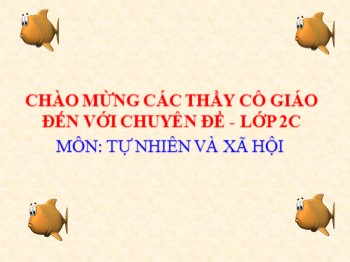 Bài giảng môn Tự nhiên xã hội Lớp 2 - Bài: Một số loài vật sống dưới nước