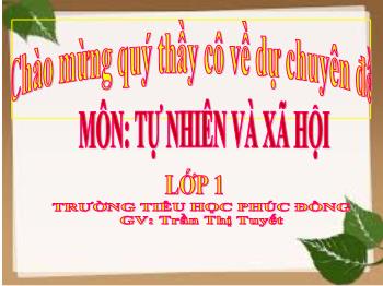 Bài giảng môn Tự nhiên và xã hội Lớp 1 - Chuyên đề: Công việc ở nhà - Trần Thị Tuyết