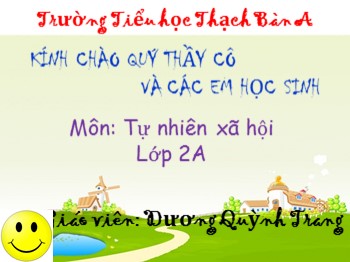 Bài giảng môn Tự nhiên xã hội Lớp 2 - Bài: Một số loài cây sống trên cạn - Dương Quỳnh Trang