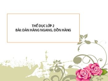 Bài giảng Thể dục Lớp 2 - Bài: Dàn hàng ngang, dồn hàng