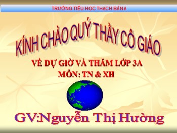 Bài giảng Tự nhiên xã hội Lớp 3 - Bài 48: Quả - Nguyễn Thị Hường