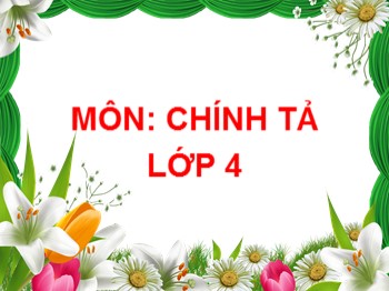 Bài giảng môn Chính tả Khối 4 - Tuần 13 - Bài: Người tìm đường lên các vì sao