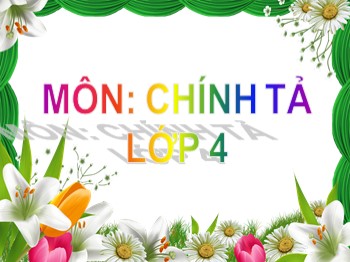 Bài giảng môn Chính tả Khối 4 - Tuần 14 - Bài: Chiếc áo búp bê