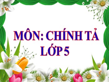 Bài giảng môn Chính tả Lớp 5 - Tuần 17: Người mẹ của 51 đứa con