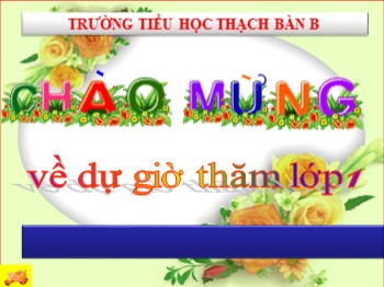 Bài giảng môn Đạo đức Lớp 1 - Bài 11: Đi bộ đúng quy định