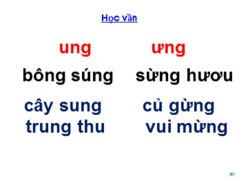 Bài giảng môn Học vần Lớp 1 - Bài 55: eng-iêng