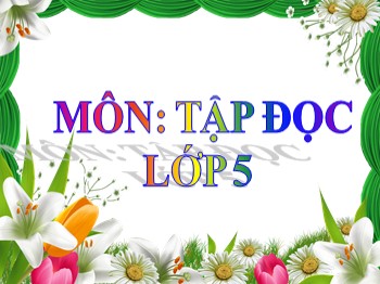 Bài giảng môn Tập đọc Lớp 5 - Tuần 25, Bài: Cửa sông