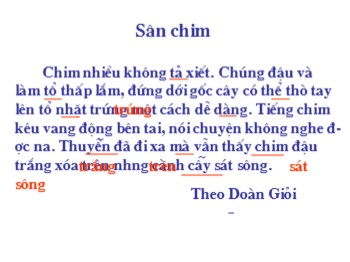 Bài giảng môn Tiếng Việt Lớp 2 - Tuần 21, Chính tả: Sân chim