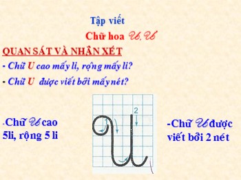 Bài giảng môn Tiếng Việt Lớp 2 - Tuần 24, Tập viết: Chữ hoa U, Ư