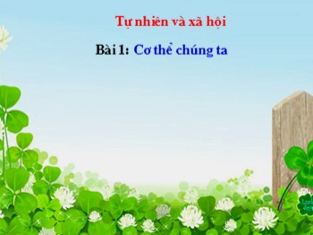 Bài giảng môn Tự nhiên và xã hội Lớp 1 - Bài 1: Cơ thể chúng ta