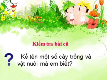 Bài giảng môn Tự nhiên và xã hội Lớp 1 - Bài 12: Chăm sóc, bảo vệ cây trồng và vật nuôi (Tiết 1)