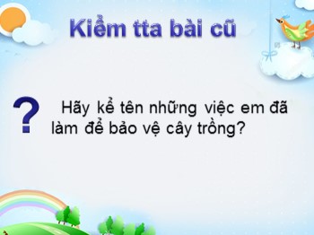 Bài giảng môn Tự nhiên và xã hội Lớp 1 - Bài 12: Chăm sóc, bảo vệ cây trồng và vật nuôi (Tiết 2)