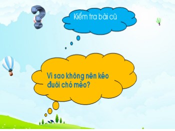 Bài giảng môn Tự nhiên và xã hội Lớp 1 - Bài 13: Thực hành: Quan sát cây xanh và các con vật (Tiết 2)