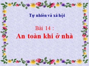 Bài giảng môn Tự nhiên và xã hội Lớp 1 - Bài 14: An toàn khi ở nhà