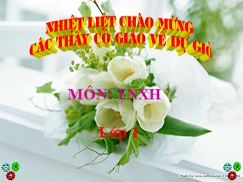 Bài giảng môn Tự nhiên và xã hội Lớp 1 - Bài 15: Các giác quan (Tiết 4)