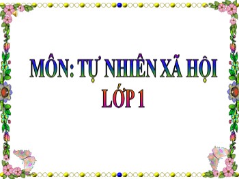 Bài giảng môn Tự nhiên và xã hội Lớp 1 - Bài 16: Hoạt động ở lớp