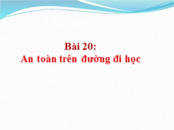 Bài giảng môn Tự nhiên và xã hội Lớp 1 - Bài 20: An toàn trên đường đi học