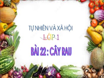 Bài giảng môn Tự nhiên và xã hội Lớp 1 - Bài 22: Cây rau