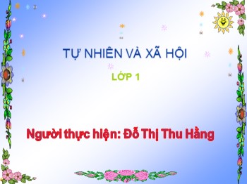 Bài giảng môn Tự nhiên và xã hội Lớp 1 - Bài 28: Con muỗi - Đỗ Thị Thu Hằng