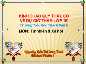 Bài giảng môn Tự nhiên và xã hội Lớp 1 - Bài 30: Trời nắng, trời mưa