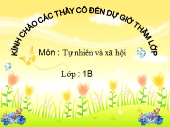 Bài giảng môn Tự nhiên và xã hội Lớp 1 - Bài: Ăn uống hằng ngày