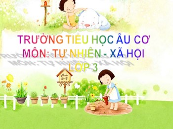 Bài giảng môn Tự nhiên và xã hội Lớp 3 - Bài: Vệ sinh hô hấp